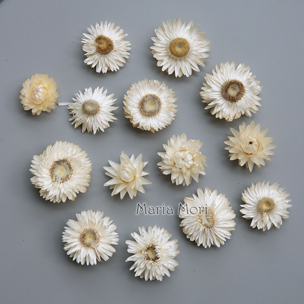 Karangan bunga krisan warna-wa - Candle Making Supplies Online ulasan dan harga