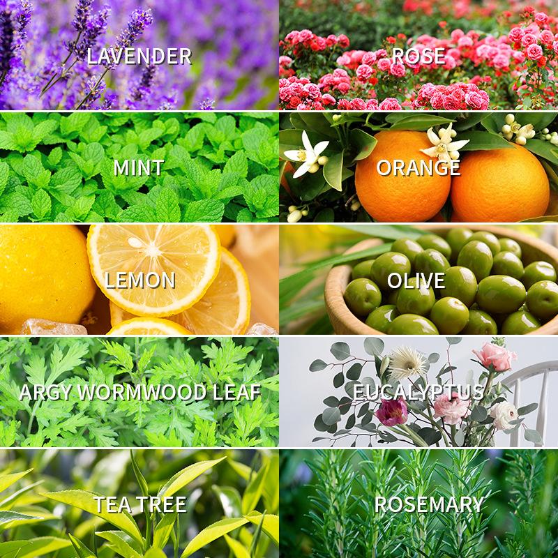 Minyak Esensial Aromaterapi 10 - Fragrance Oil 10Ml ulasan dan harga